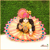 Blended Net Morpankh Design Multicolor Poshak With Pagdi